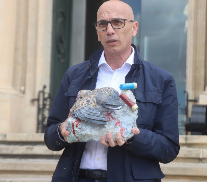 Malta shouldn't keep challenging EU by continuing Turtle-dove spring hunting - BLM