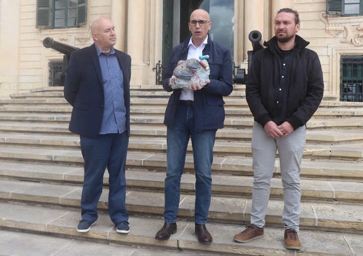 Malta shouldn't keep challenging EU by continuing Turtle-dove spring hunting - BLM