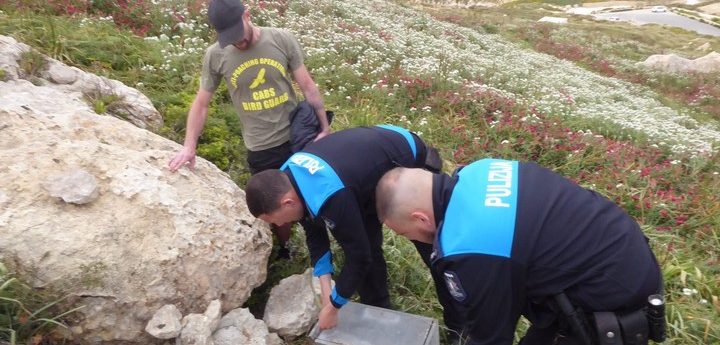 Illegal electronic bird caller decoys confiscated in Malta – CABS