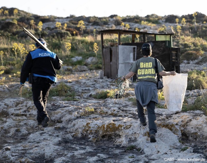 CABS team on Gozo tackling illegal finch trapping