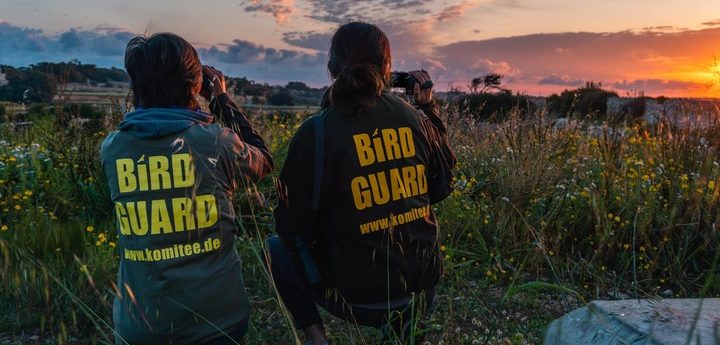 Spring hunting season for quail opens on Gozo and Malta