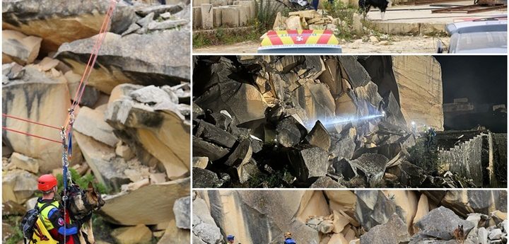 22 rescue dogs from four countries team up in ‘earthquake’ relief exercise