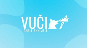Animals are suffering because of an ineffective administration – NGOs