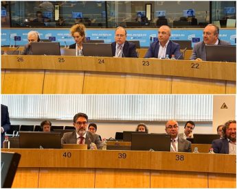 Gozo’s economic situation and its challenges discussed at INSULEUR