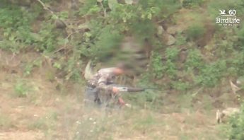 Gozitan hunter guilty of killing protected collared-dove, finishing it off with his mouth