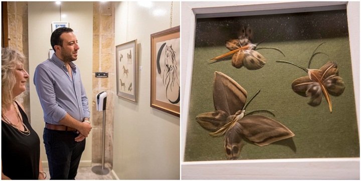 Finding Feathers Exhibition in aid of Dreams of Horses Farm