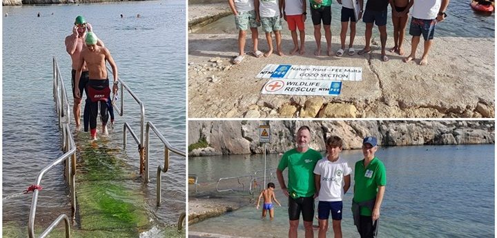 Liam Daly sets new national record with 11km Malta to Gozo swim