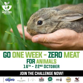 Malta Meat Free Week challenge starts next week