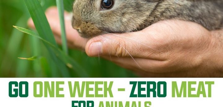 Malta Meat Free Week challenge starts next week