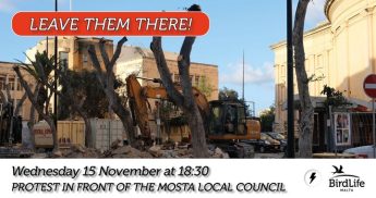 Zminijietna appeals for decision to remove trees to be revoked
