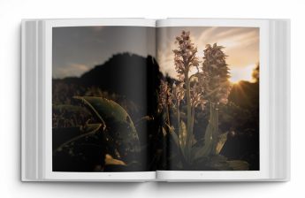 Marvellous Malta – Where Wild Orchids Grow, Dwejra Tower talk