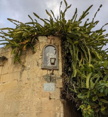Nadur niche saved after timely intervention by eNGO Ghawdix