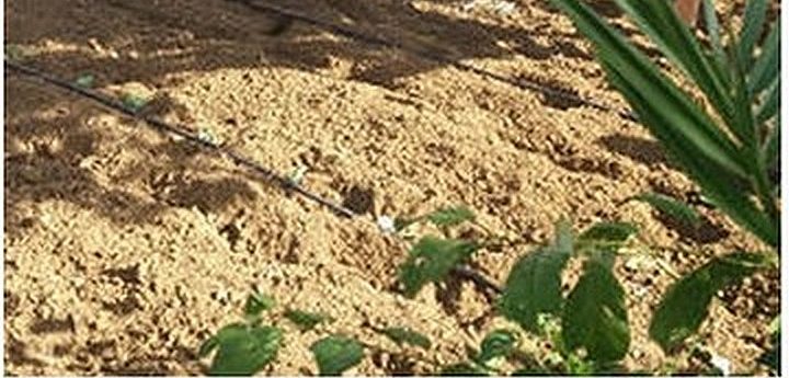 World Soil Day marked in Gozo with webinar on the world beneath our feet