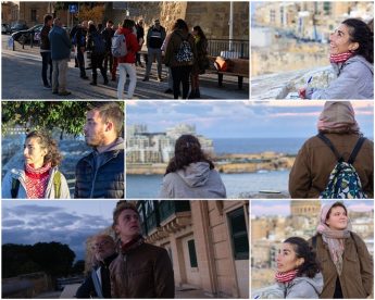 Record number of White Wagtails roost in Valletta this winter