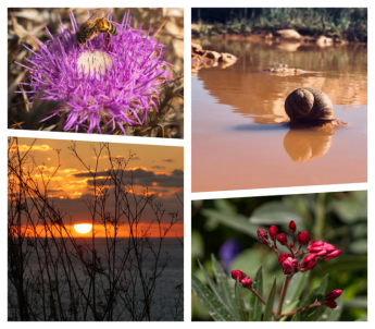 DLH and BOV photography competition winners announced