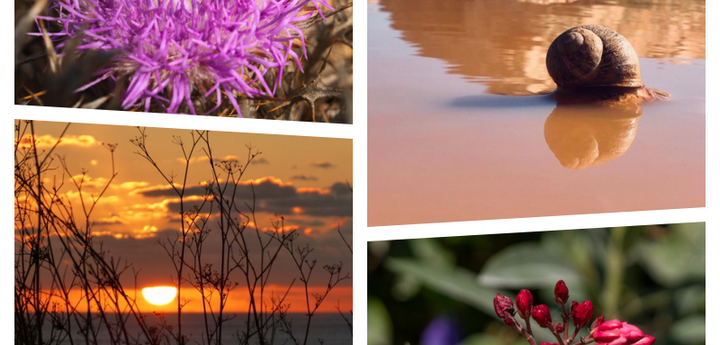 DLH and BOV photography competition winners announced