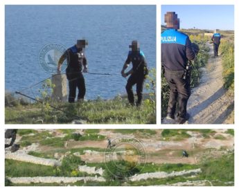 Two illegal trapping sites dismantled on Gozo after Rangers’ report
