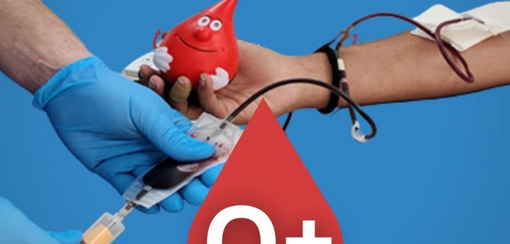 Gozo blood donation session Tuesday, O+ blood needed