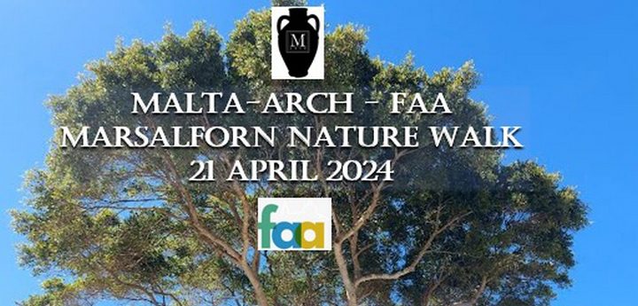 Join in the guided “Walk to Save Marsalforn’s Habitat”