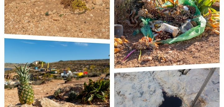 Comino: Prevailing apathy toward creating meaningful change is regrettable – Nadur Nadif