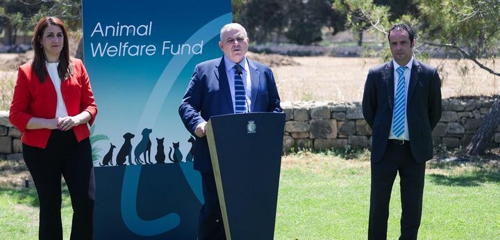 Financial aid scheme for sanctuaries and animal associations