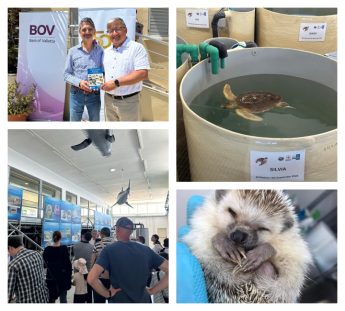 What is that Animal? – Malta’s first local fauna field guide launched