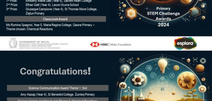 Winners announced for Primary Stem Challenge Initiative 2024