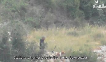 163 illegalities recorded in spring hunting season across Malta and Gozo – BLM