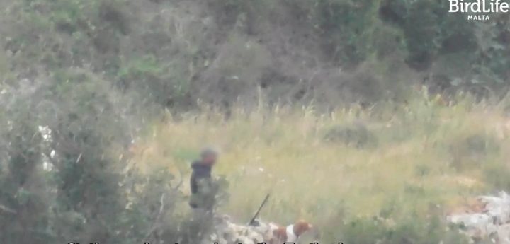 163 illegalities recorded in spring hunting season across Malta and Gozo – BLM