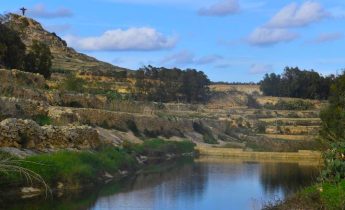 EU Council seal the deal on Nature Restoration Law
