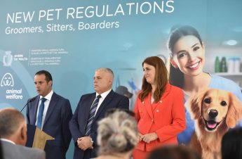 New regulations for pet groomers, sitters and boarders