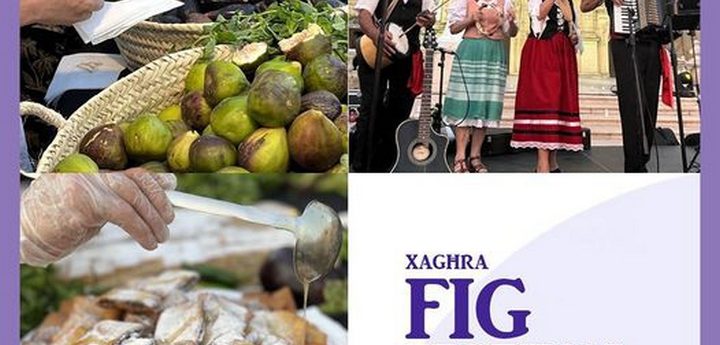 Xaghra Fig Festival – Record attempt on largest Helwa tat-Tork made of figs