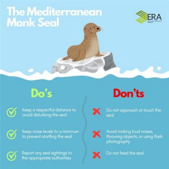 ERA issues important guidelines for Protecting the Mediterranean Monk Seal