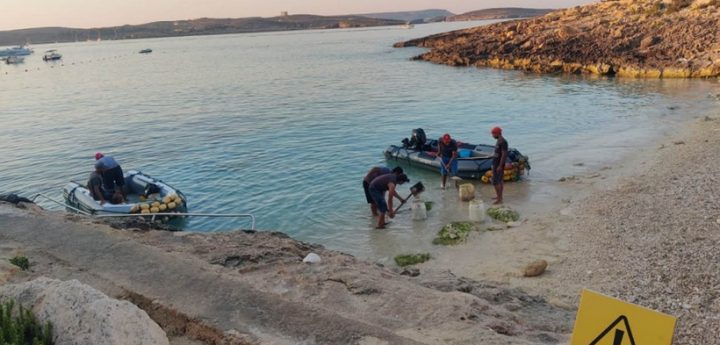 ERA “considering fines” against fish farm operator for Hondoq contamination
