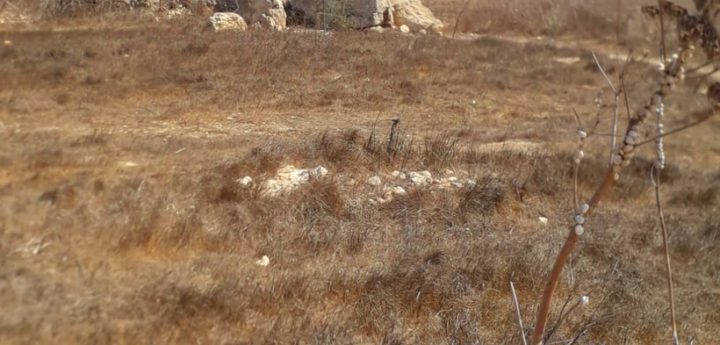 Gozo Coalition calls for transparency from SCH on Santa Verna Temple area