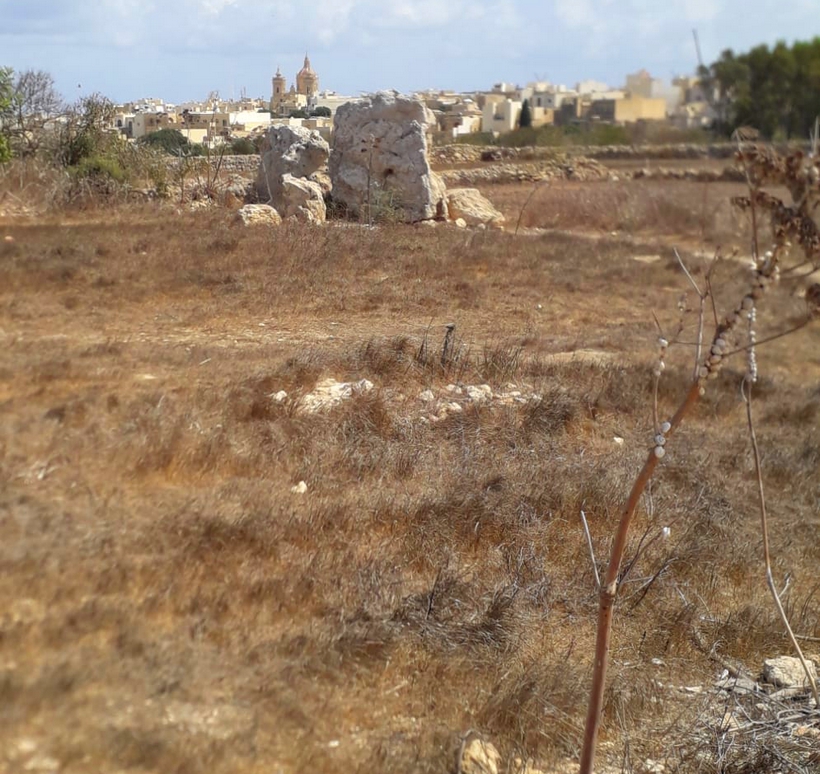 NGOs accuse SCH of being "complicit in destruction of heritage"