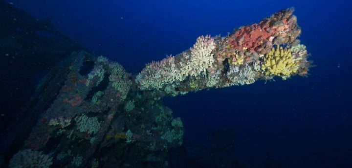 United Nations endorses Heritage Malta’s WreckLife project