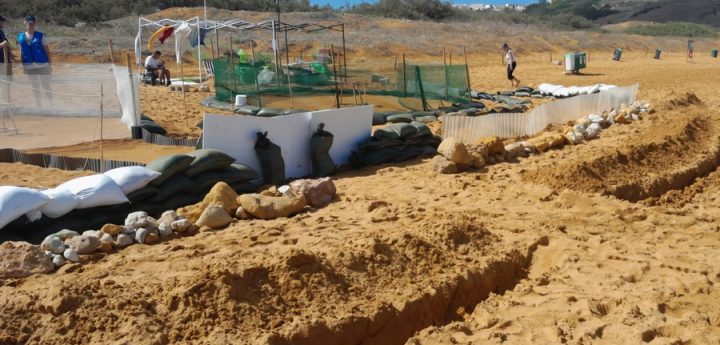 Ramla Bay turtle nests given extra fortification to protect from high seas