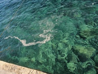 Qala Local Council pledges to “take action to rid Hondoq Bay of slime”