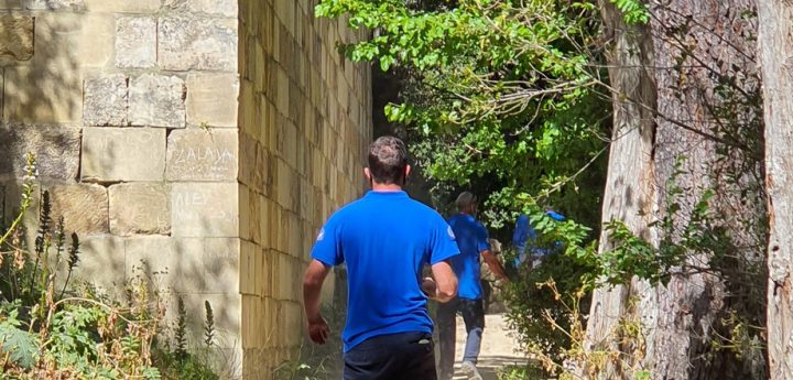 It’s “essential to keep dogs on leash when visiting sites of natural importance” – Ambjent Malta