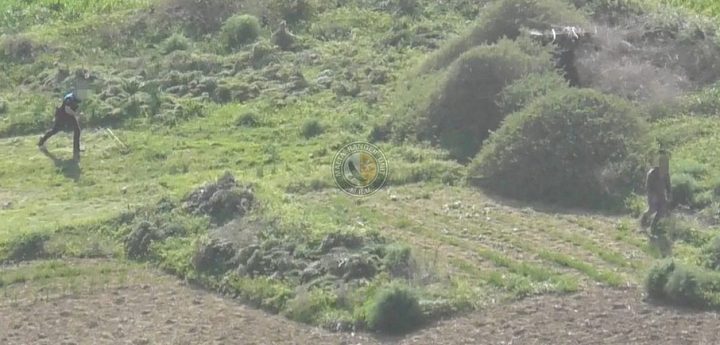 Rangers testify in Gozo Court on case of illegal finch trapping