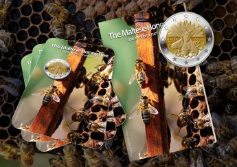 HSBC Foundation congratulates Foundation for Conservation of Maltese honey bee HSBC Foundation congratulates Foundation for Conservation of Maltese honey bee