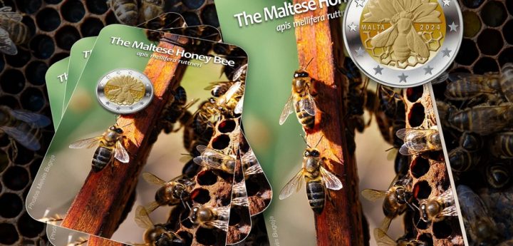 HSBC Foundation congratulates Foundation for Conservation of Maltese honey bee