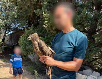 BirdLife issues urgent call for schools to be declared bird sanctuaries