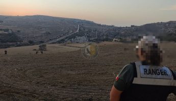 Police dismantle unattended trapping nets in Gozo, injured bird of prey retrieved – MRU