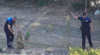 21 finches seized at unregistered trapping sites in Natura 2000 area