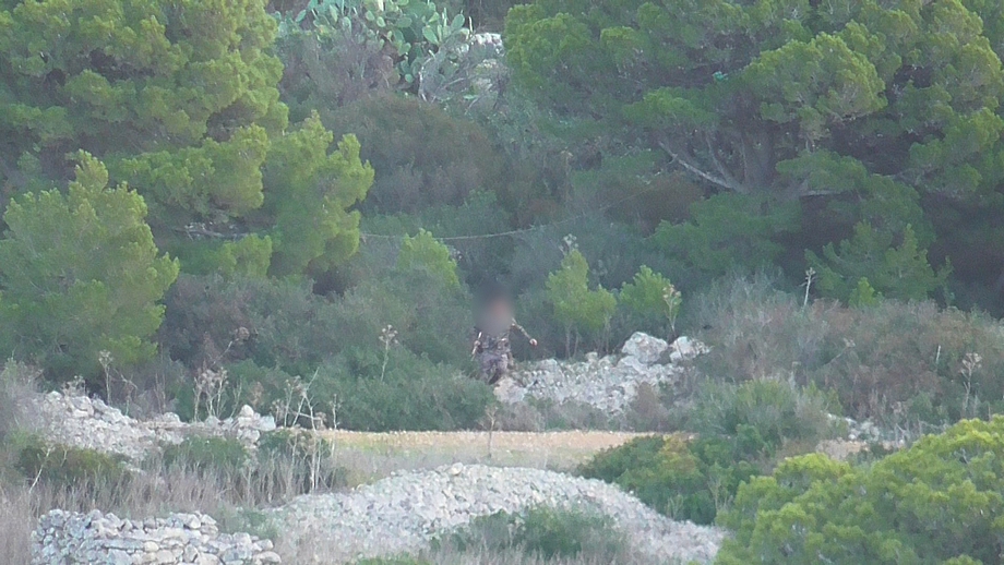 Illegal hunting reported in Comino and Buskett bird sanctuaries
