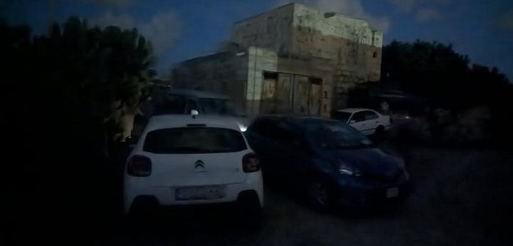 PN accuses government of being without plan or vision in animal welfare