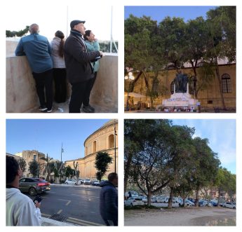 14,780 Wagtails counted at Valletta’s iconic roost during annual count