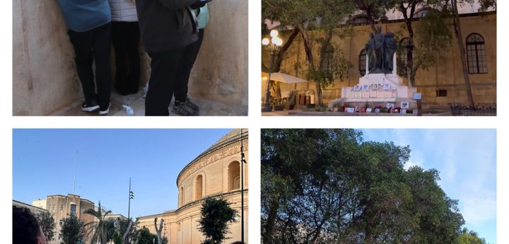 14,780 Wagtails counted at Valletta’s iconic roost during annual count